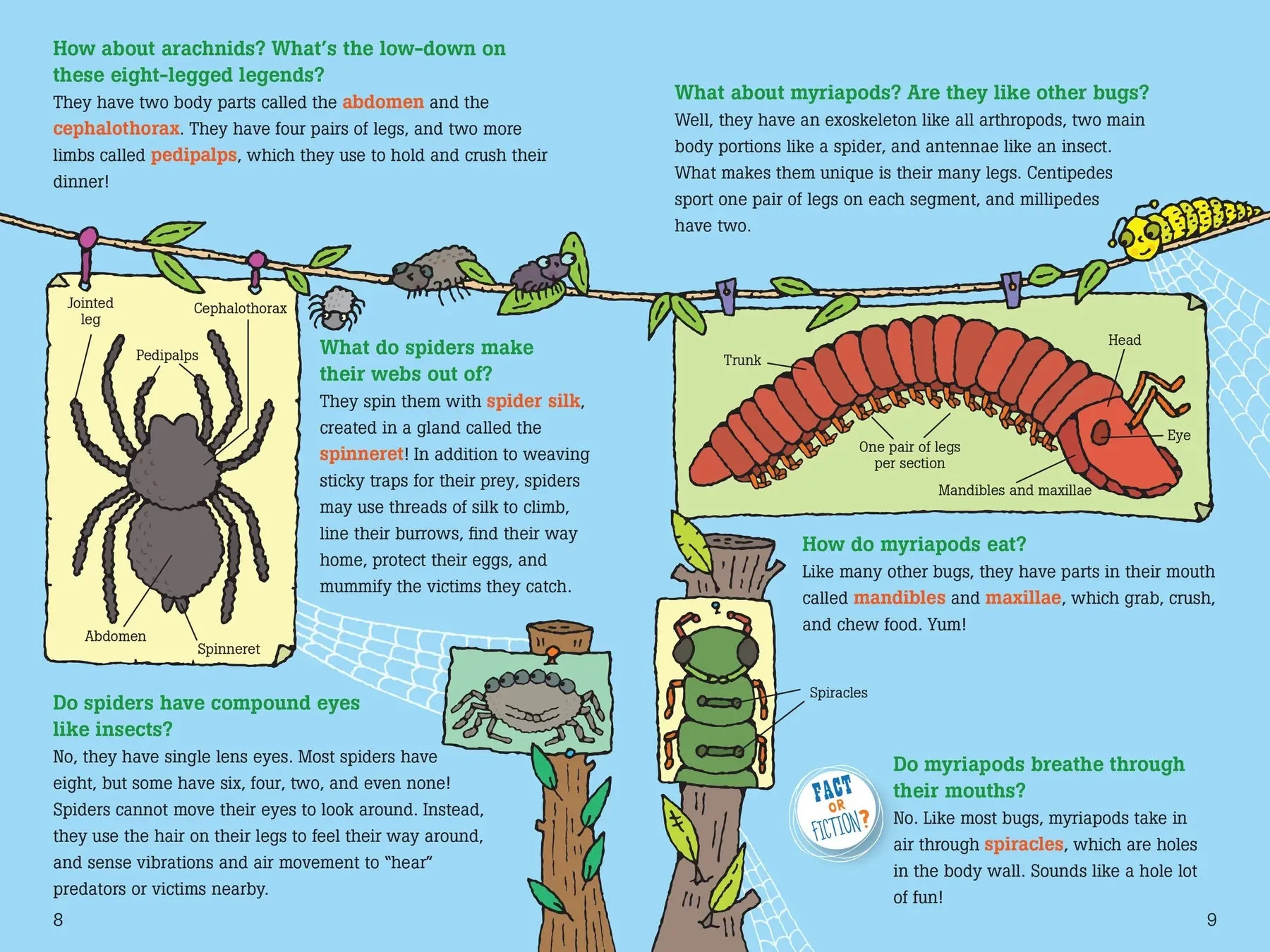 "100 Questions about Bugs" Book
