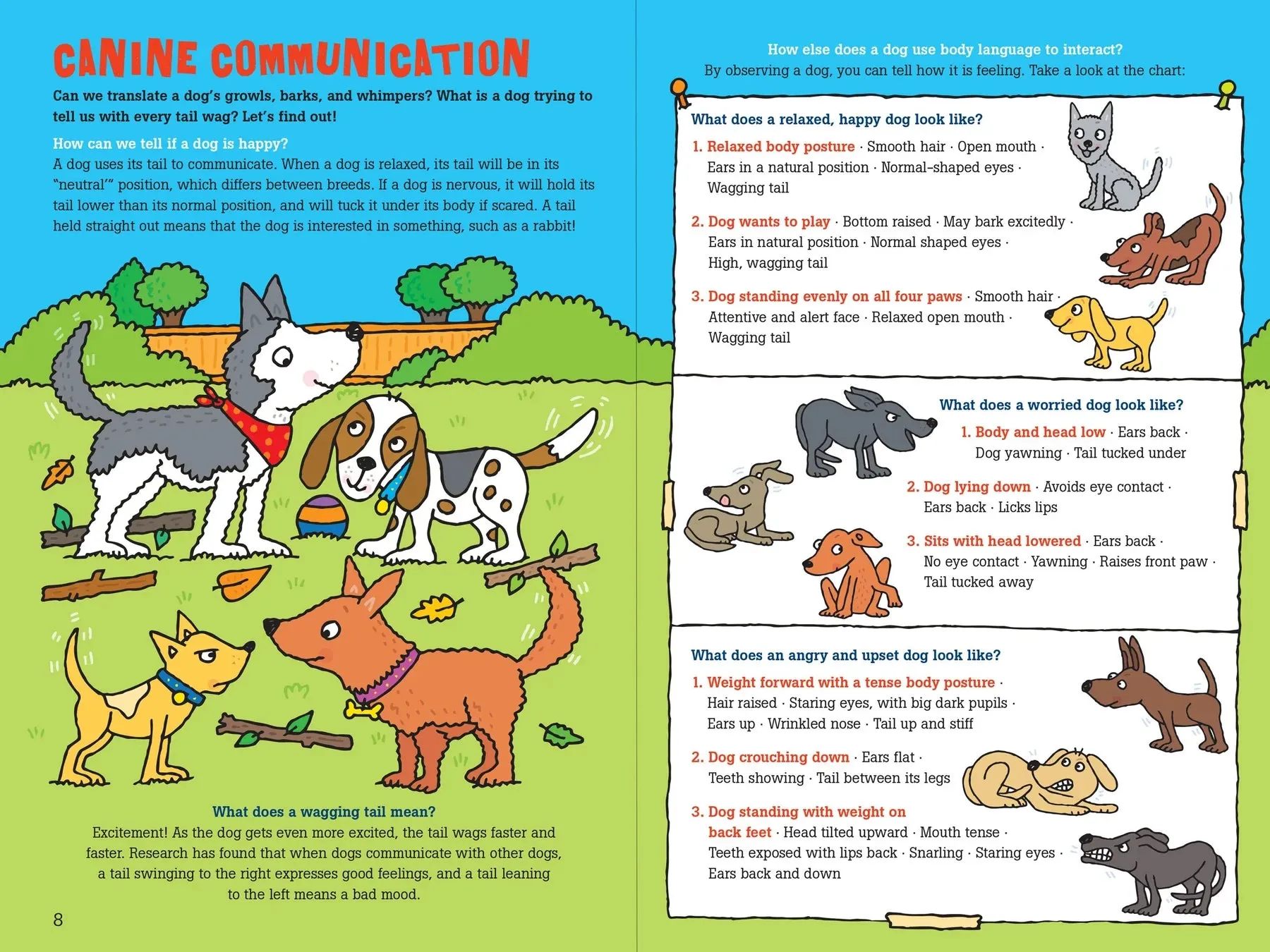 "100 Questions about Dogs" Book