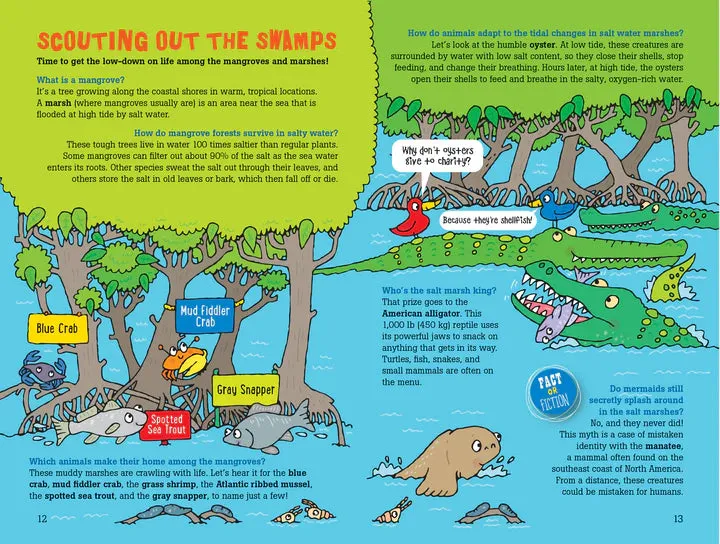 "100 Questions about Oceans" Book